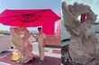سیمرغ سرخ هنرمند نی‌ریزی