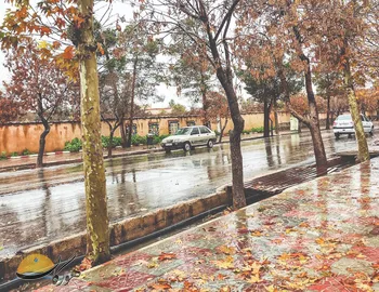 بارش ۱۵ میلی‌متری باران در روستای چاه‌علی + فیلم