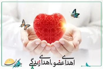 بانوی نی‌ریزی به چند بیمار زندگی دوباره بخشید